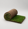 Premium Graszoden
